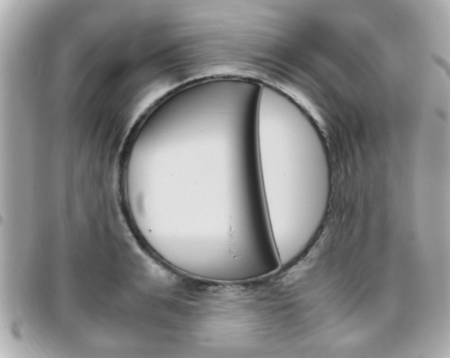 X0000096440991200801241114