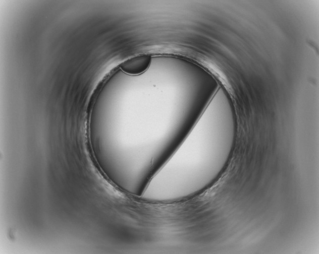X0000096440992200801241114