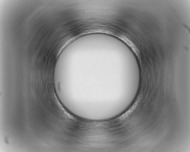 X0000096440993200801241114