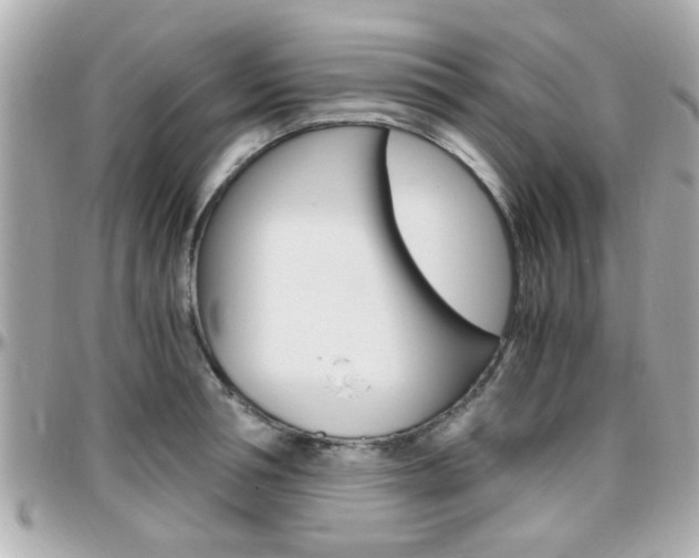 X0000096440994200801241114