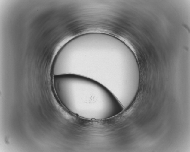 X0000096440995200801241114