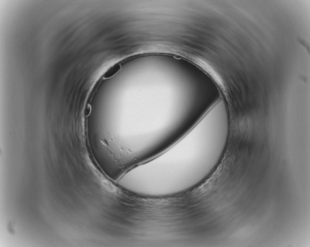 X0000096440996200801241114