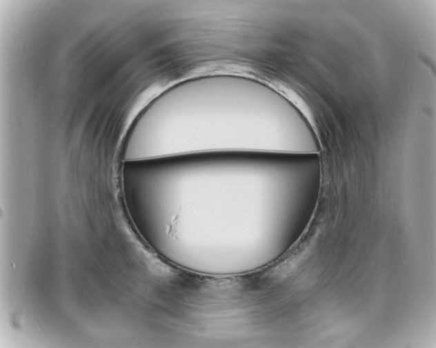 X0000096440997200801241114