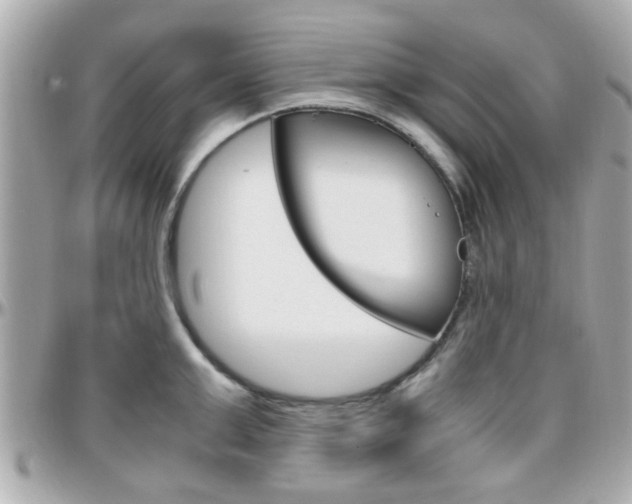 X0000096440999200801241114