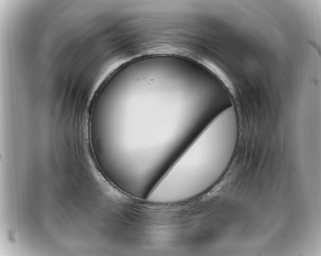 X0000096441000200801241114