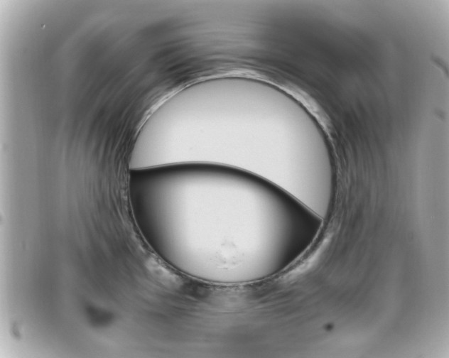 X0000096441001200801241114