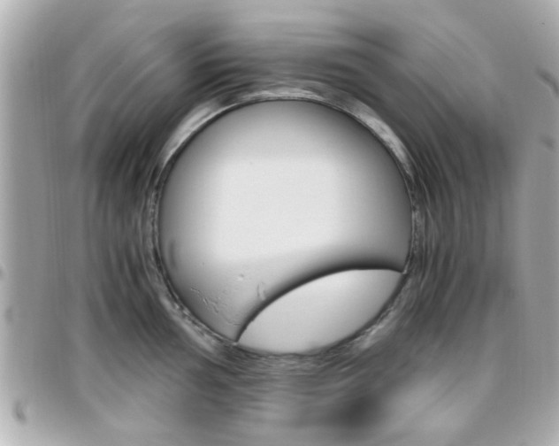 X0000096441002200801241114