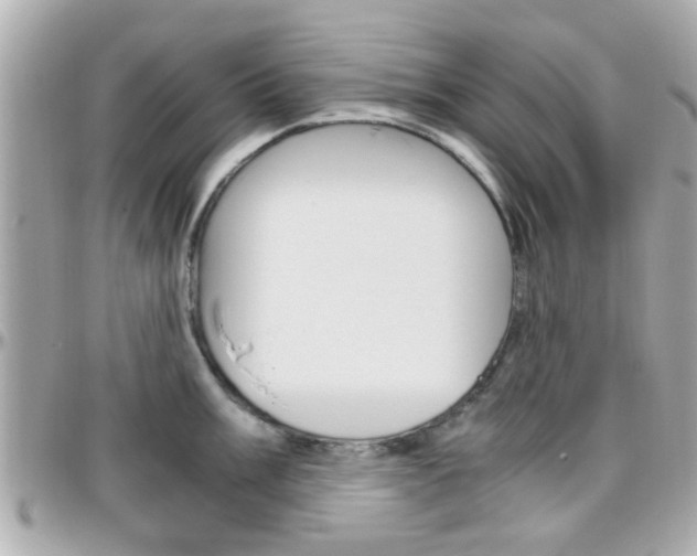 X0000096441003200801241114
