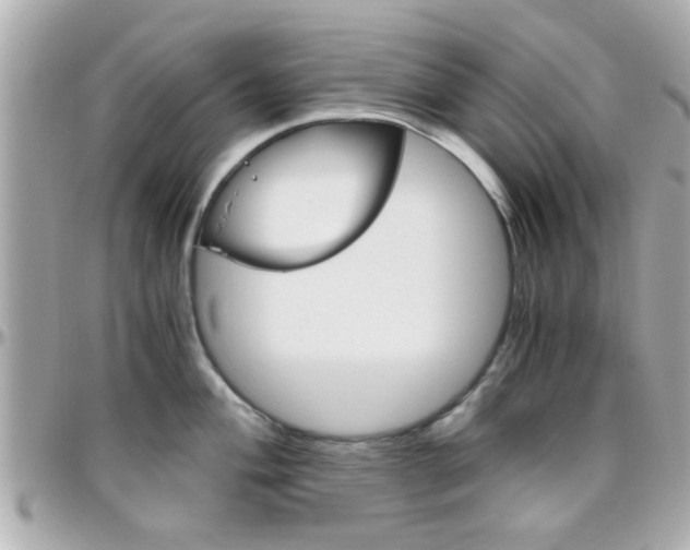 X0000096441004200801241113