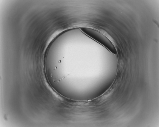 X0000096441005200801241113