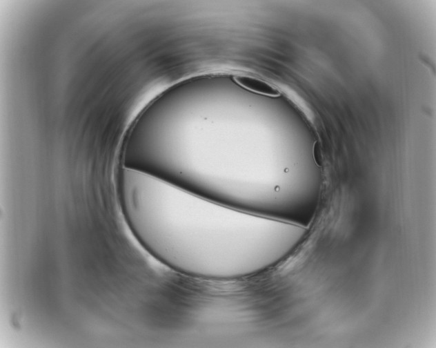 X0000096441007200801241113