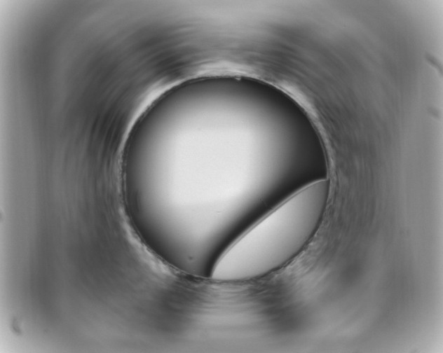 X0000096441008200801241113