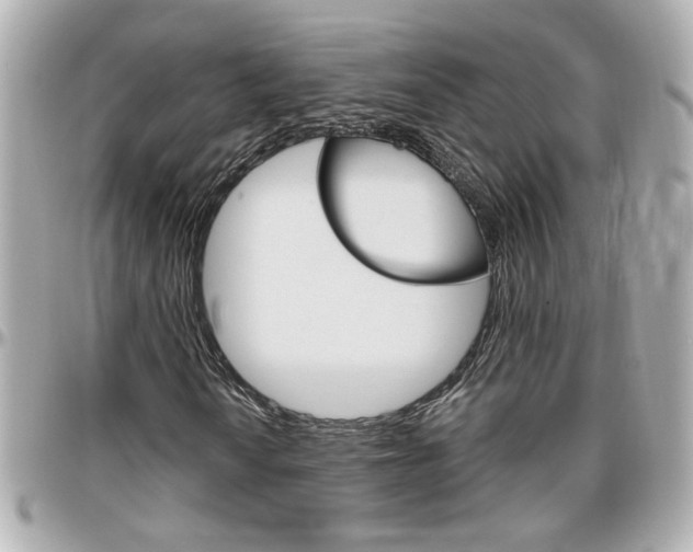 X0000096441010200801241113