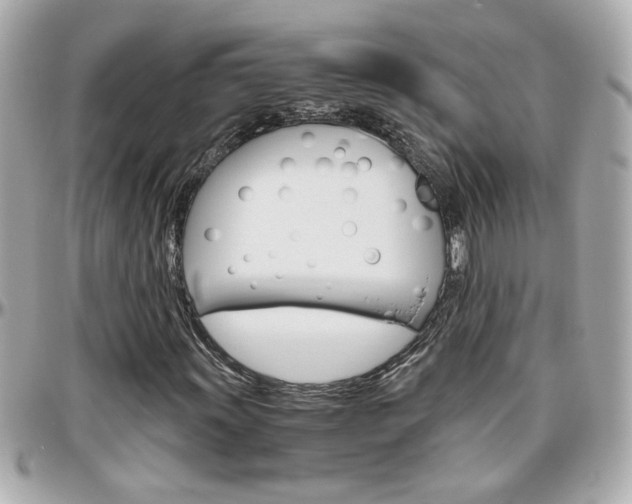 X0000096441011200801241113