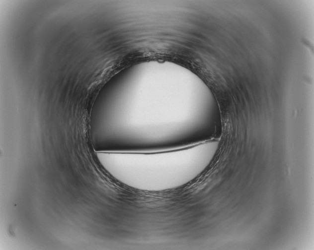 X0000096441012200801241113