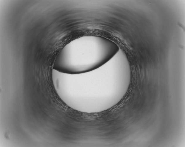 X0000096441013200801241113