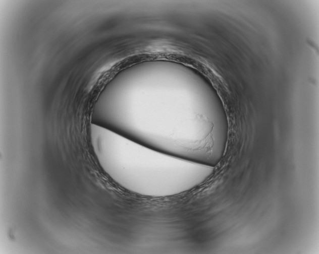 X0000096441016200801241113
