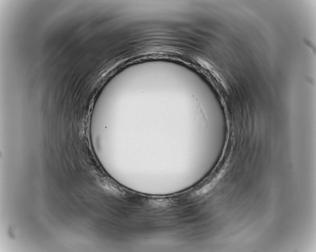X0000096441017200801241113