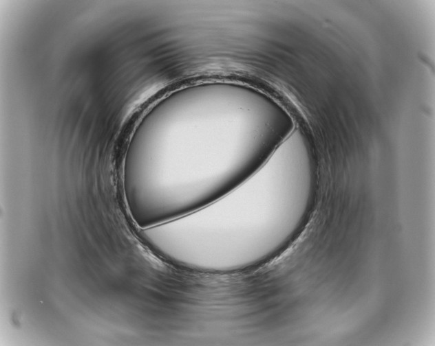 X0000096441018200801241113