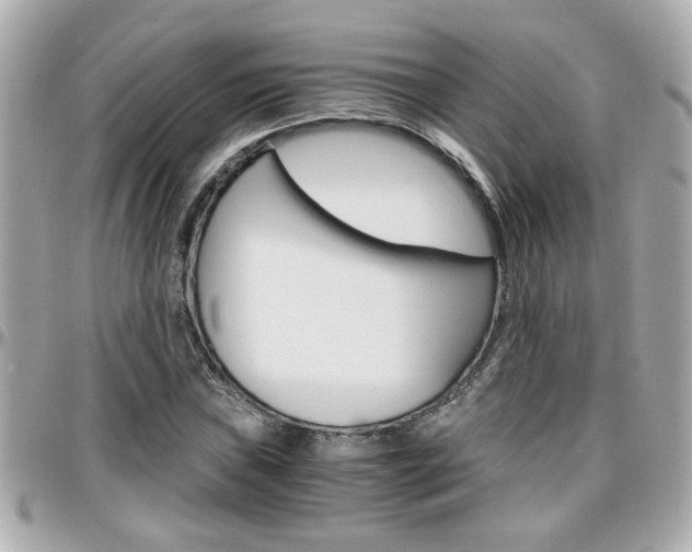X0000096441019200801241113