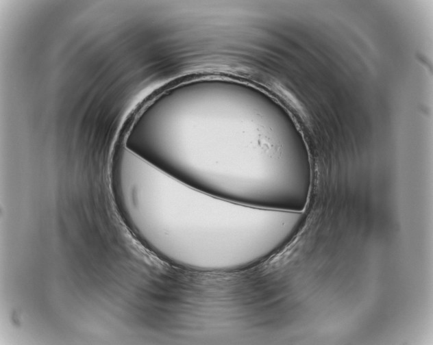 X0000096441020200801241113