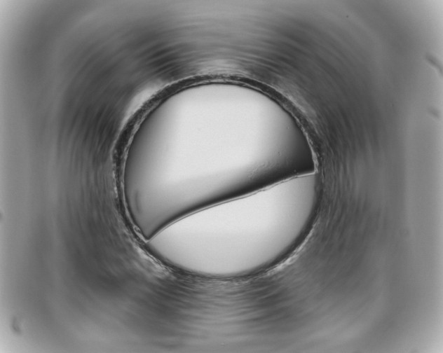 X0000096441022200801241113