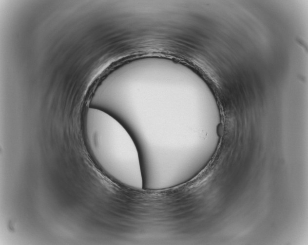 X0000096441023200801241113