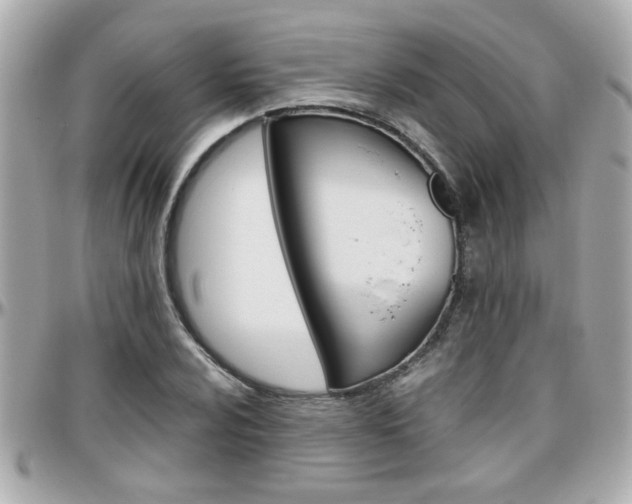 X0000096441024200801241113