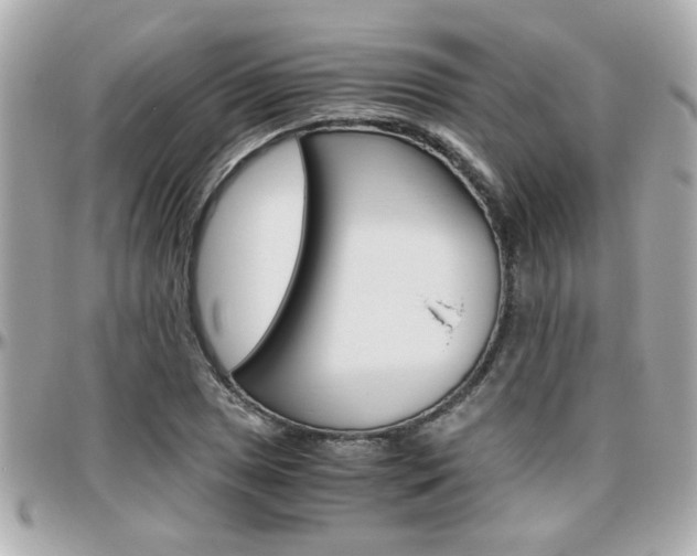 X0000096441025200801241113
