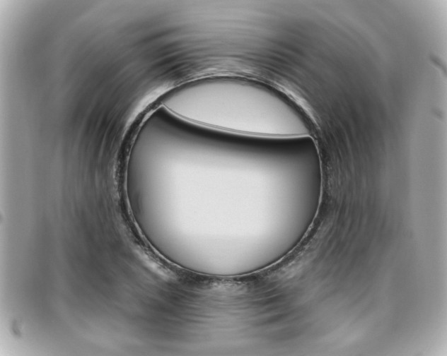 X0000096441026200801241113