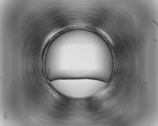 X0000096441027200801241113