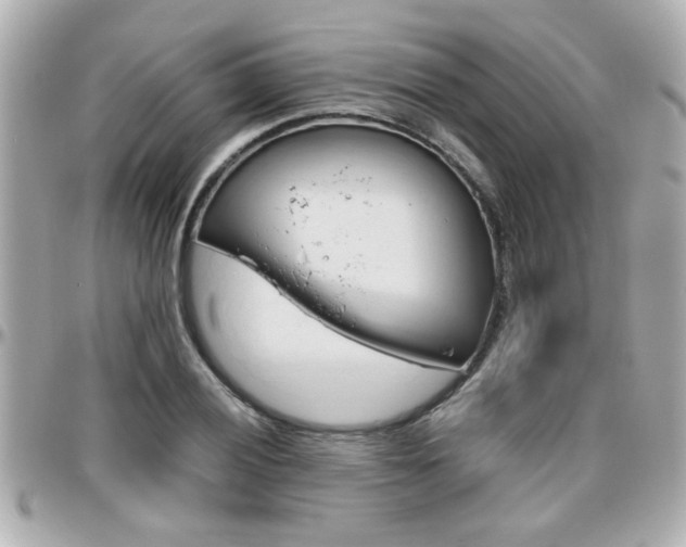 X0000096441028200801241113