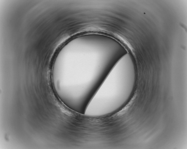 X0000096441029200801241113