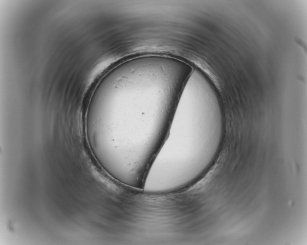 X0000096441030200801241113
