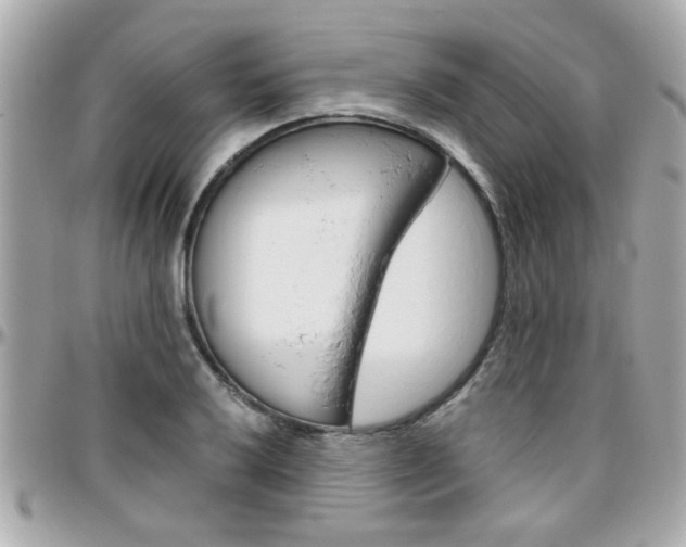 X0000096441032200801241113