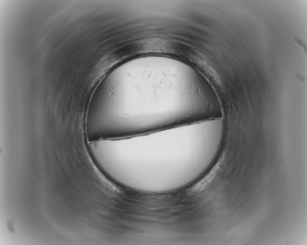 X0000096441033200801241113