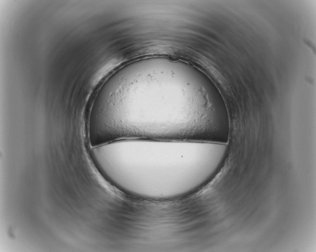 X0000096441034200801241113