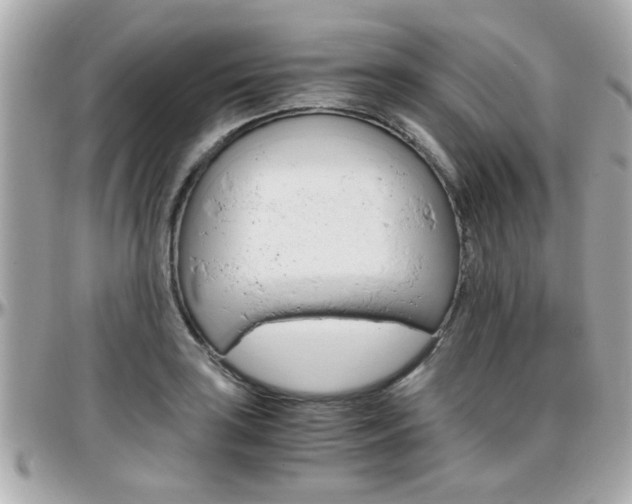 X0000096441035200801241113