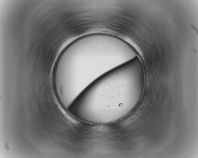 X0000096441037200801241113