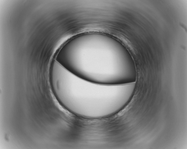 X0000096441038200801241113