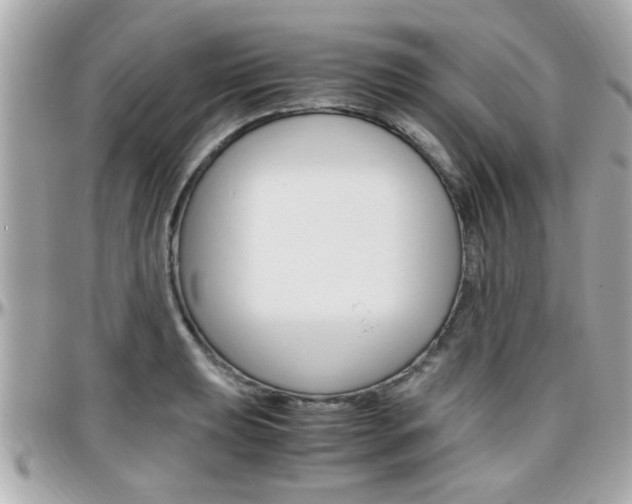 X0000096441039200801241113