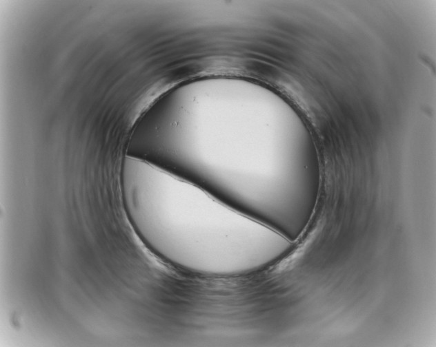 X0000096441041200801241113