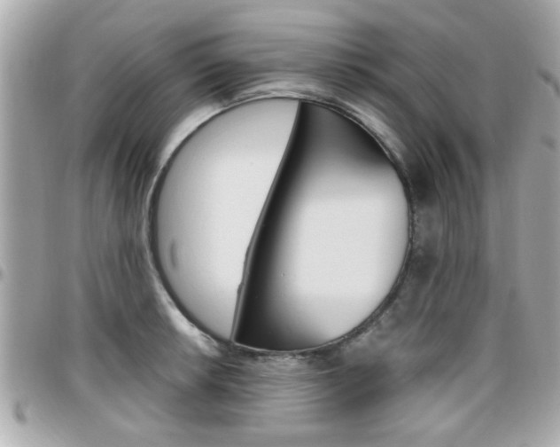 X0000096441042200801241113