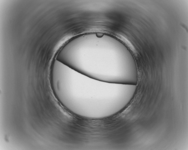 X0000096441043200801241113