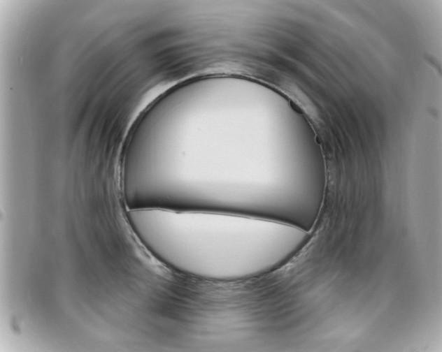 X0000096441044200801241113