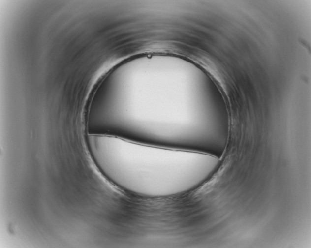 X0000096441045200801241113
