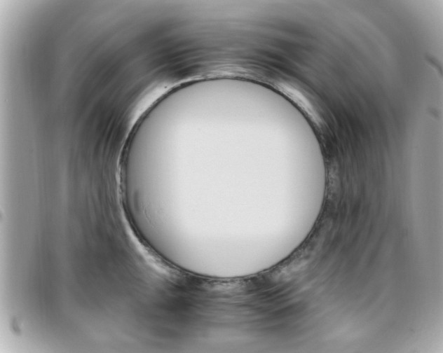 X0000096441047200801241113