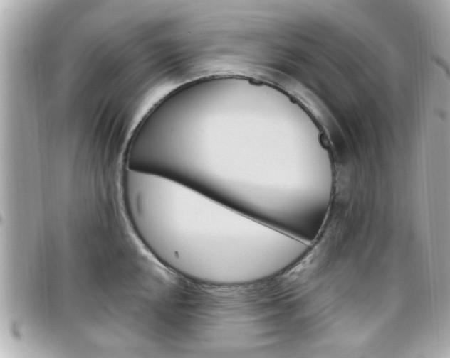 X0000096441048200801241113