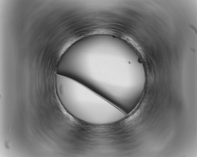 X0000096441049200801241113