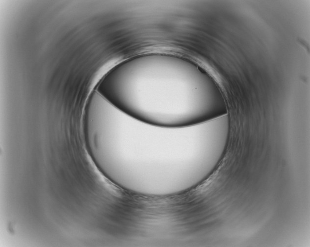 X0000096441050200801241113
